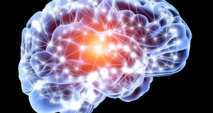 اكتشف العلماء شبكة الدماغ المشتركة للأمراض النفسية