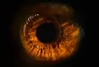بحث جديد يربط السمنة بأمراض العين المسببة للعمىألقت دراسة جديدة من كندا ، نُشرت في مجلة Science الشهيرة ، الضوء على سبب جزيئي محتمل للضـ..
