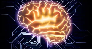 يشمل مستقبل الحوسبة علم الأحياء: أجهزة كمبيوتر تعمل بالذكاء الاصطناعي مدعومة بخلايا دماغيةلقد حان الوقت لإنشاء نوع جديد من أجهزة الكمبيـ....